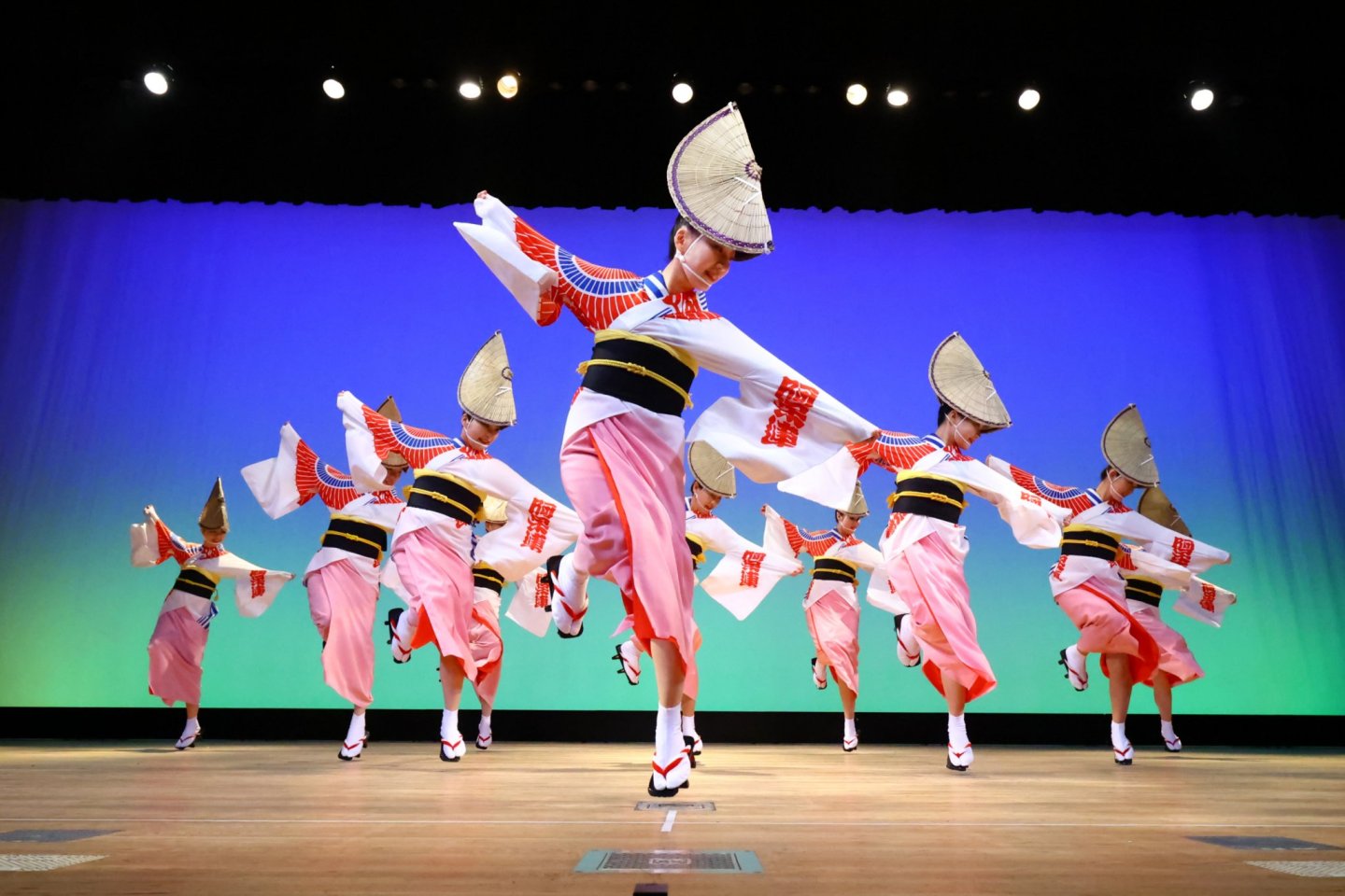 Hana Haru Festa