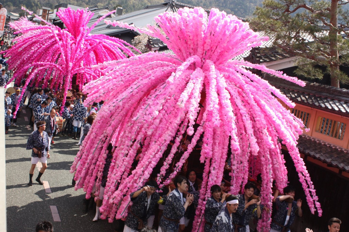 Mino Festival