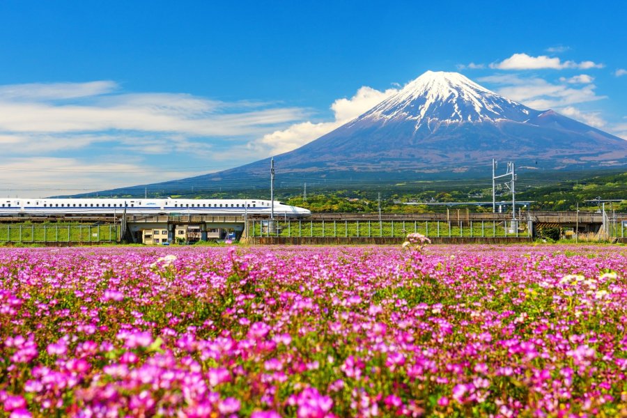 JR Pass: Guide to Japan's Best Rail Pass