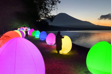 TeamLab Yamanakako Walk, Walk, Walk