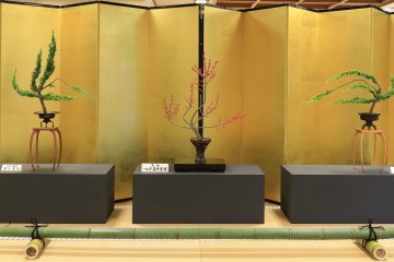 Exclusive Ikebana Autumn Exhibition in Kyoto