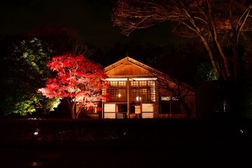 Edo-Tokyo Architectural Garden Autumn Illumination