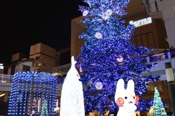 Tachikawa Sansan Illuminations