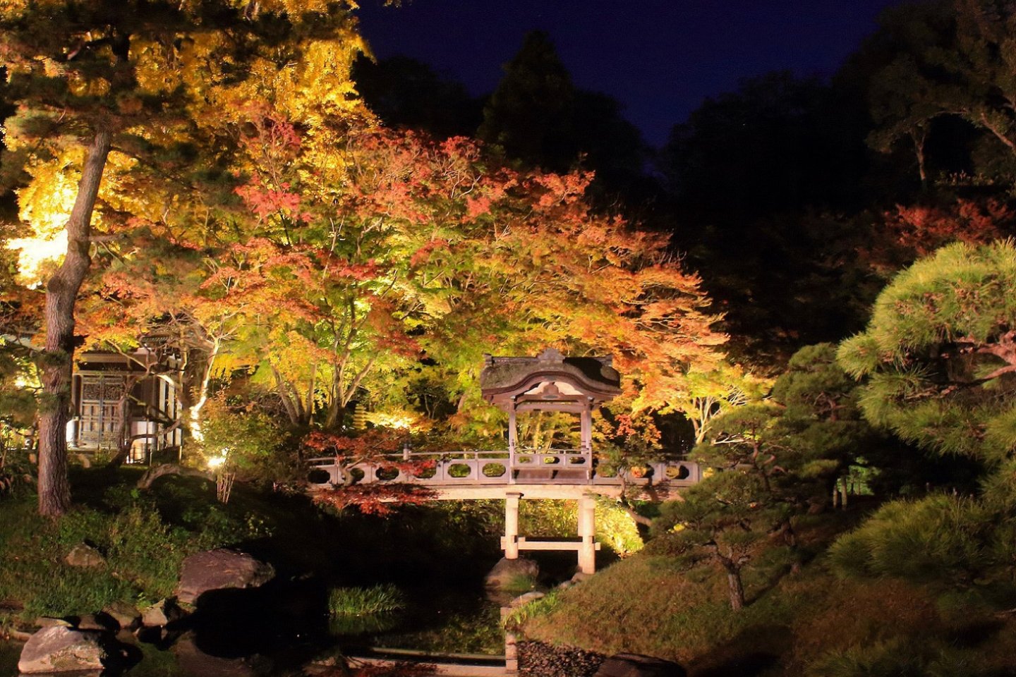 Sankeien Autumn Illumination