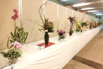 Okinawa International Orchid Show