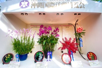 Okinawa International Orchid Show