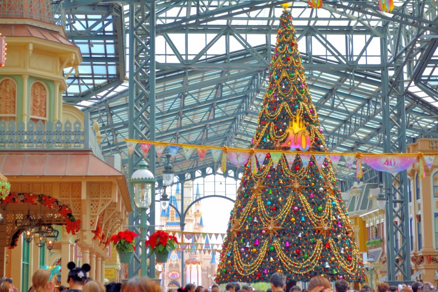 Tokyo Disney Resort Christmas Special Event