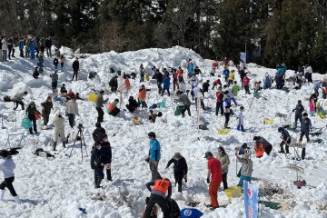 Tsunan Snow Carrot Digging Competition