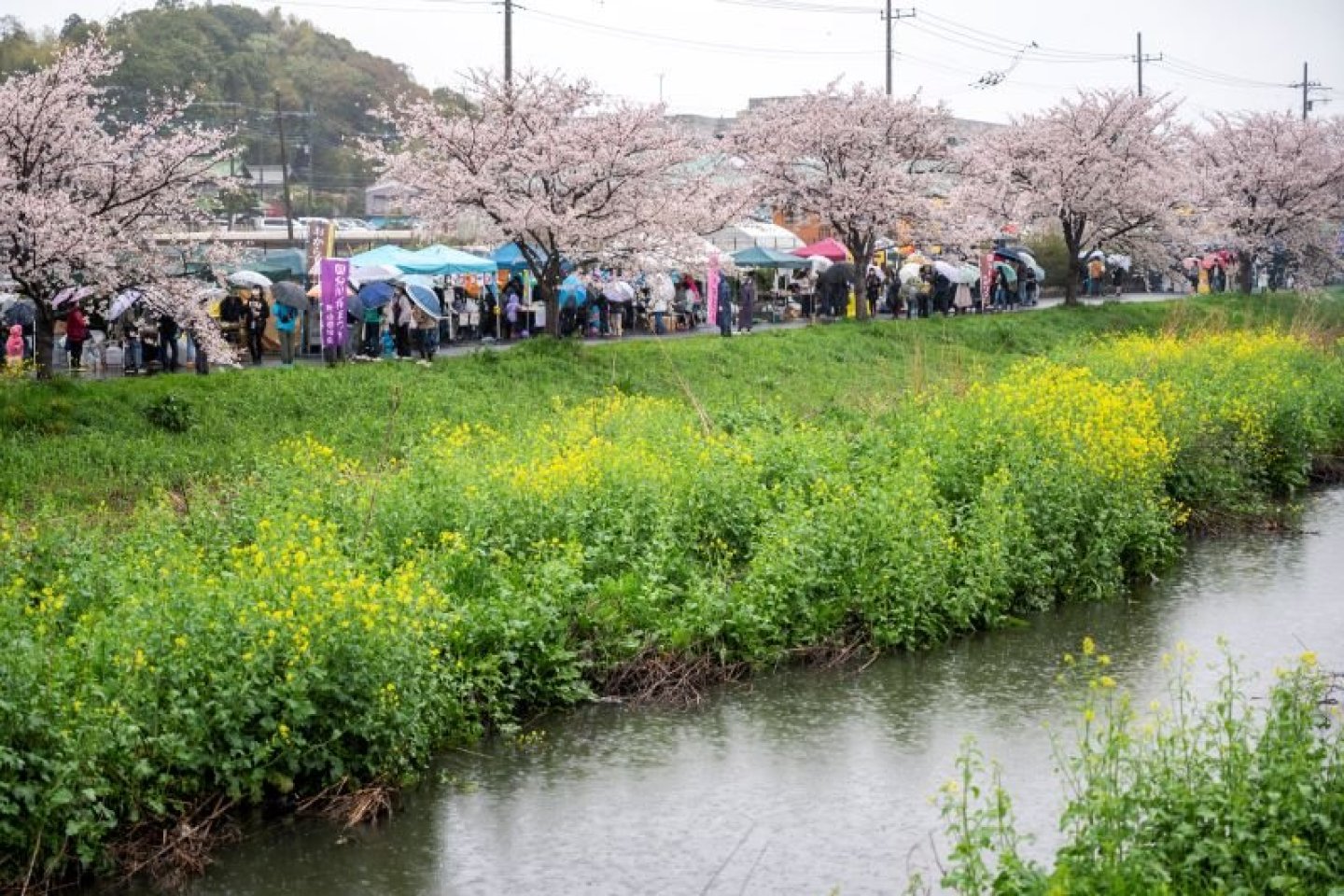 Events in Japan Festival Guide 2025 Japan Travel