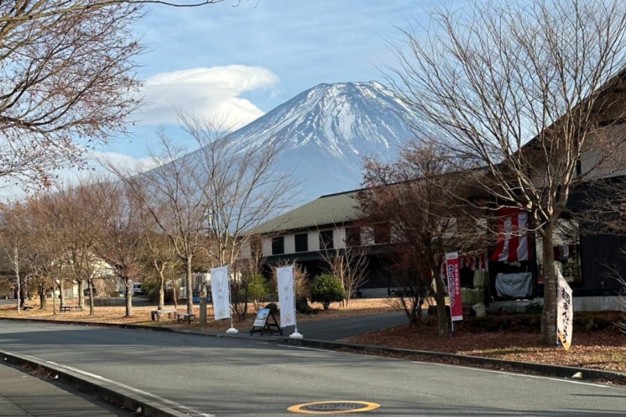 Sake at the Foot of Mount Fuji