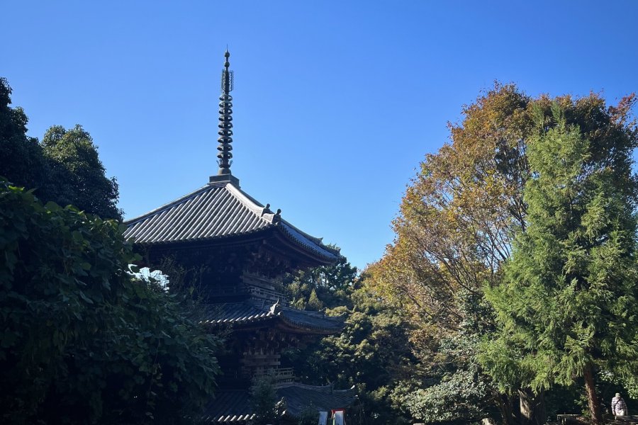 Hiking Around Azuchi Castle Ruins