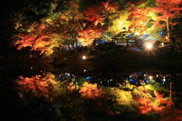 Ritsurin Autumn Illumination