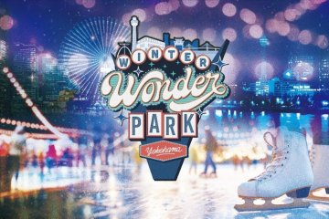 Winter Wonder Park Yokohama