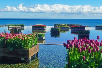 Hitachi Seaside Park Warm and Cozy Winter Fair