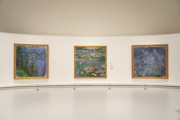 Monet: The Water Lilies