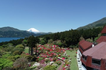 Azalea and Rhododendron Fair