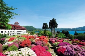 Azalea and Rhododendron Fair