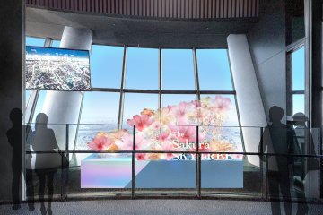 The Sakura Skytree