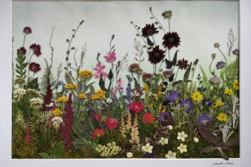 Pressed Flowers in Everyday Life