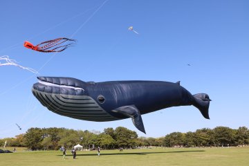 Uminaka Kite Flying Festival