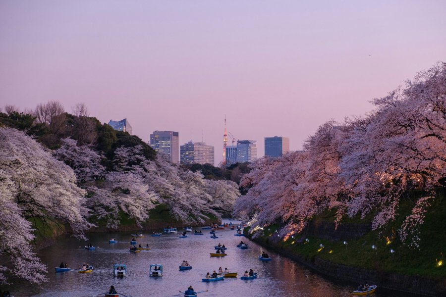 Spring in Japan: Your Seasonal Guide