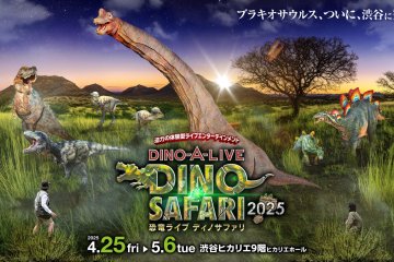 Dino Safari