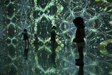 European Digital Art Experience