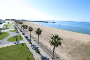 Bruno Mars Fireworks Show Osaka