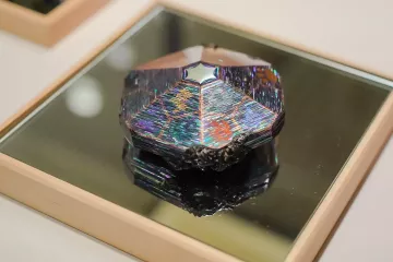 Pokémon X Kogei Nagasaki