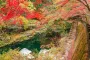 7 Destinations for Autumn Color in Okayama