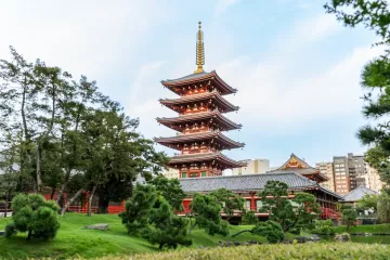 Asakusa Culture & Lights