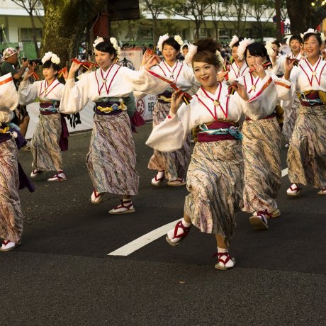 Yosakoi Dance Festival Yosakoi Dance Festival