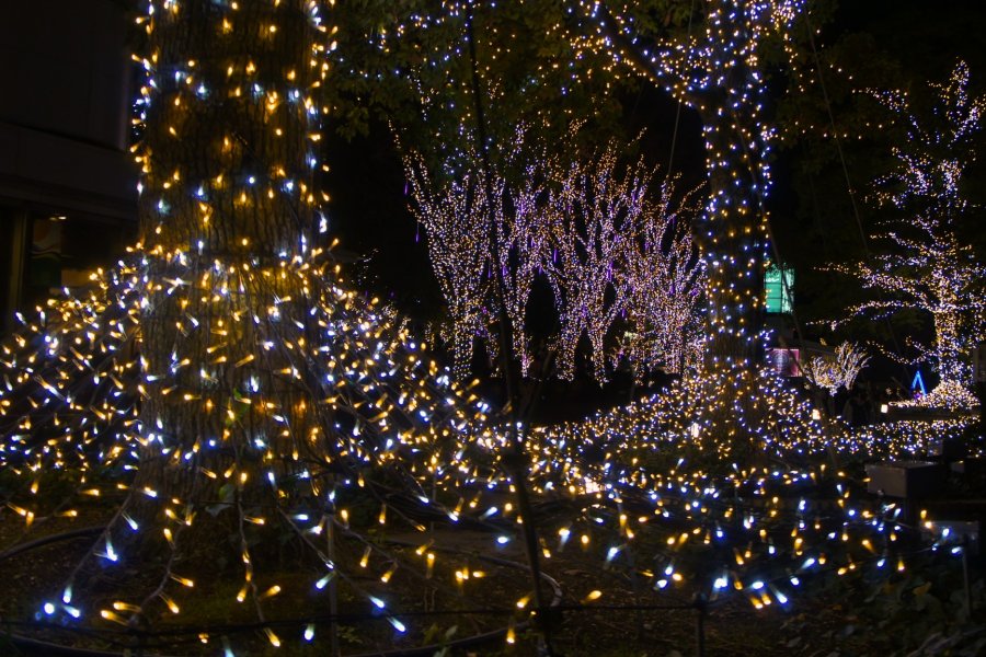 Shinjuku Terrace City Illumination