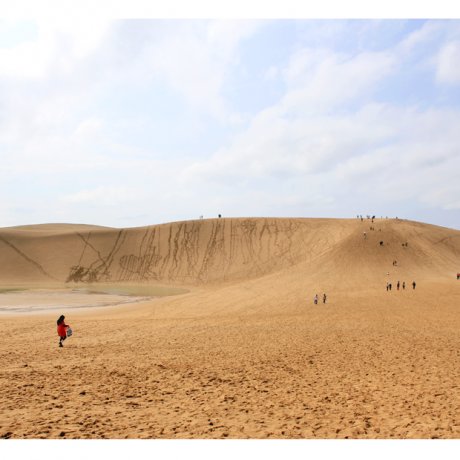 Witness Where Sand Meets Sky: Tottori's Sand Dunes Witness Where Sand Meets Sky: Tottori's Sand Dunes