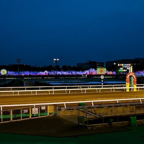 Ohi Racecourse at Tokyo City Keiba