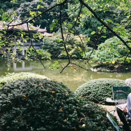 Shinjuku Gyoen National Garden