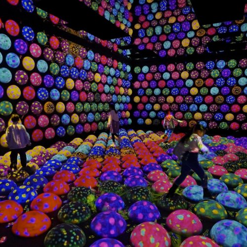teamLab Planets TOKYO DMM
