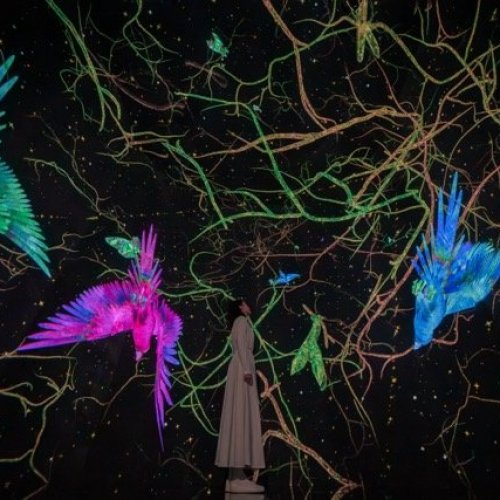 teamLab Planets TOKYO DMM