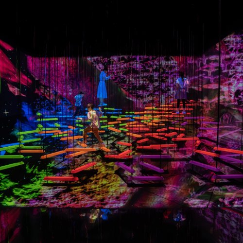 teamLab Planets TOKYO DMM