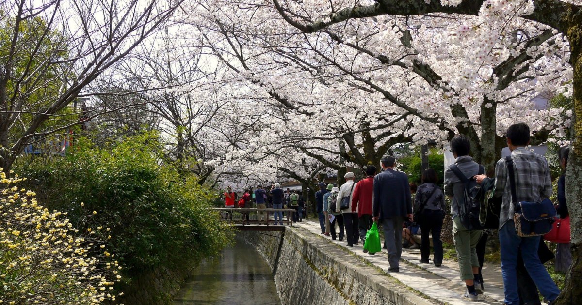Philosopher's Path - Kyoto Travel Tips - Japan Travel Guide 