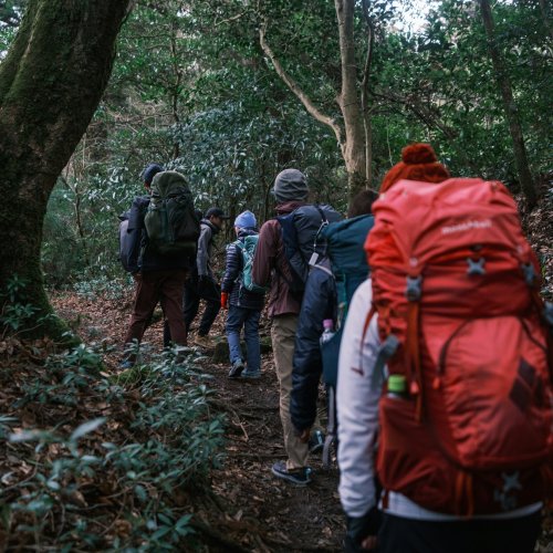A group of people hiking through a forest