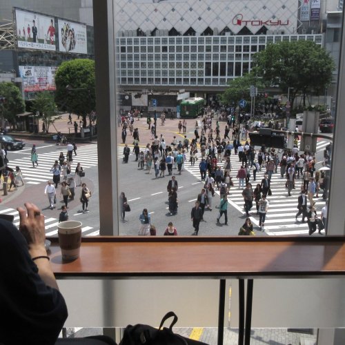 People looking out over Shibuya Crossing from Starbucks