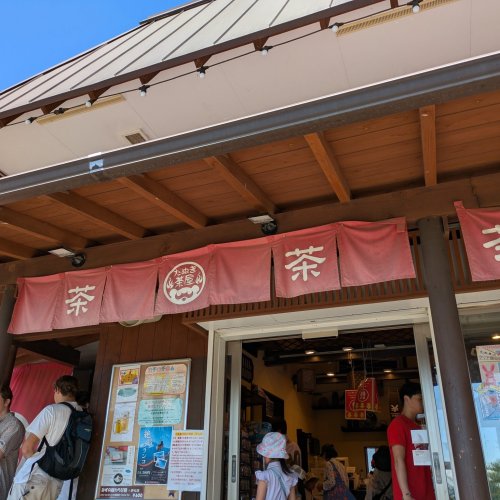 Mt. Fuji Panoramic Ropeway