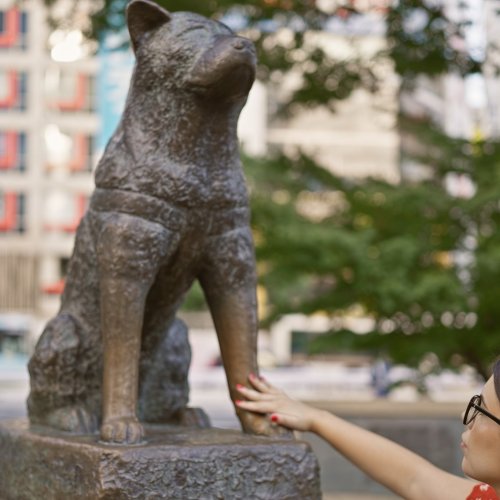 Hachiko Statue