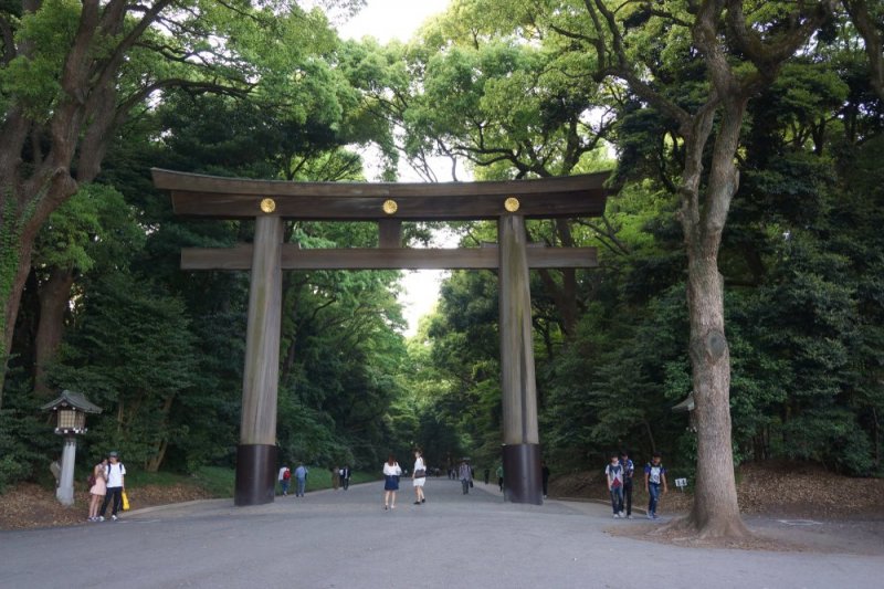 Meiji Jingu Shrine - Tokyo Attractions - Japan Travel