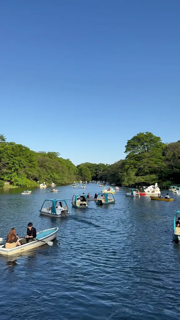 River and boats