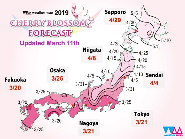 Guide to Cherry Blossom in Japan, 2019 – Japan Travel